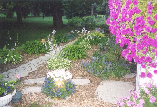 Can you see the neighbor's kitty who had been sleeping under one of my Hostas; I don't think he appreciated me waking him!