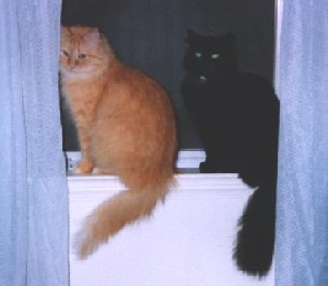 Bubbies & Tillie Marie